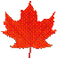 maple leaf